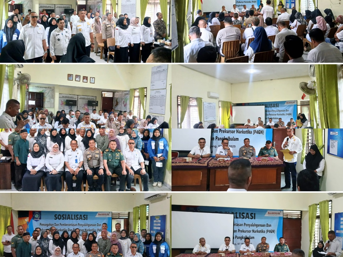 SOSIALISASI P4GN
